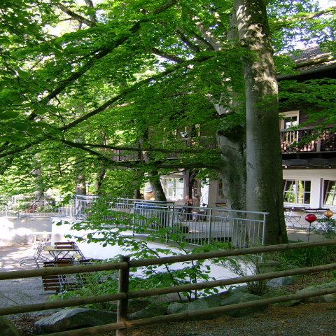 bild-homep.-4
